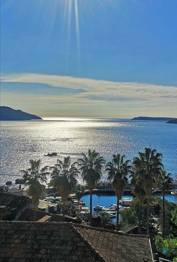Apartments Dikan Herceg Novi Exterior foto